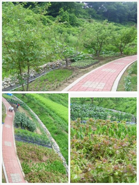 구이노인요양원 2008-07-02