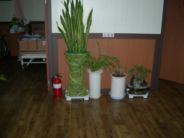 백삼한방요양원 2008-12-20