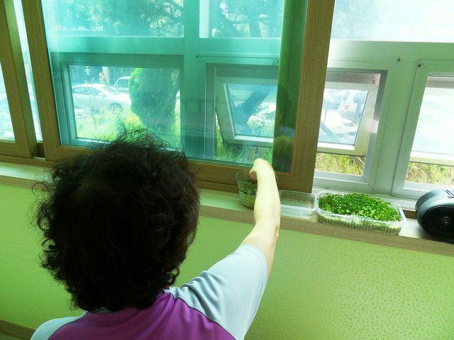 가은실버홈 정서 도움, 수경제배
