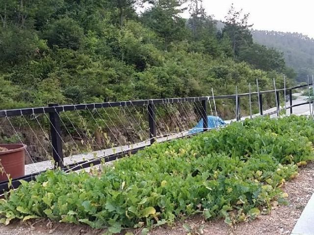 복지타운 마리아 노인요양원 2014-07-25