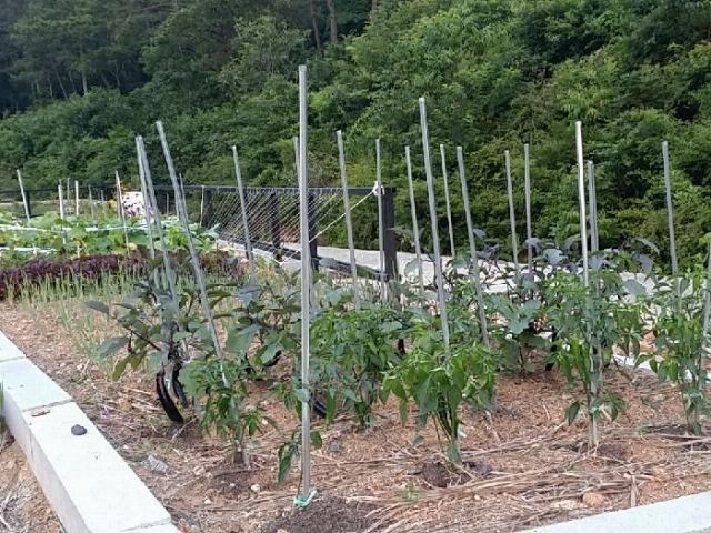 복지타운 마리아 노인요양원 2014-07-25