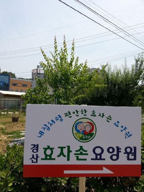 경산효자손요양원 2015-06-16