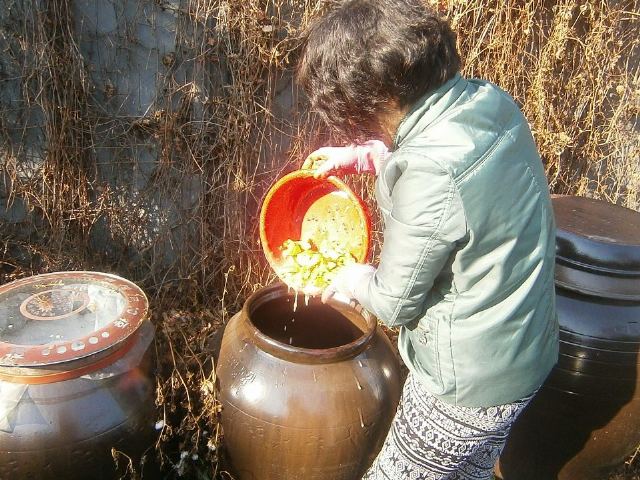 일산무지개마을 특화프로그램