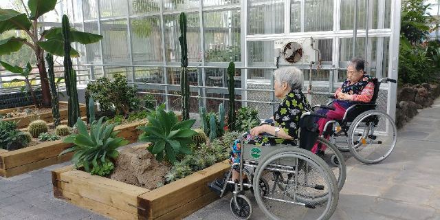 강남유명요양원 에코일원 공원 산책