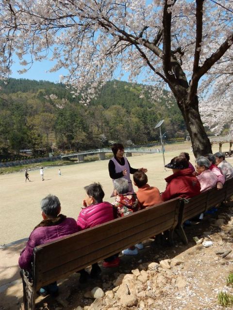 사랑요양원 2019-04-25
