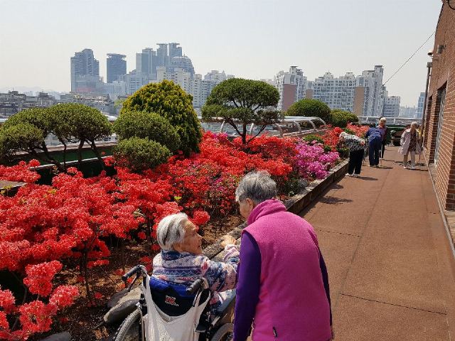 청운데이케어센터 2019-07-25