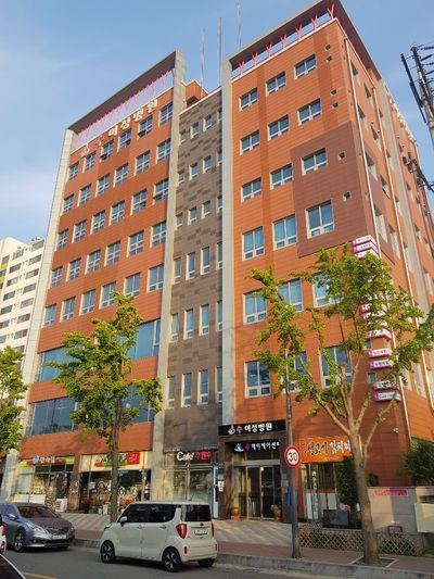 수 데이케어센터 수 데이케어 센터 (주간보 ...