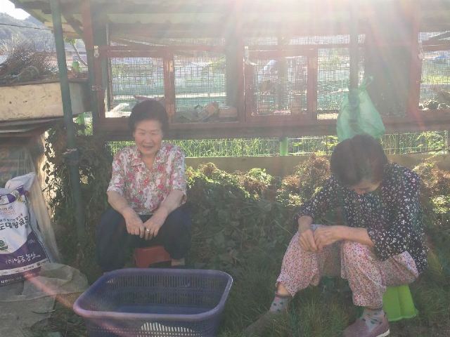 송천실버홈복지센터 2019-10-11