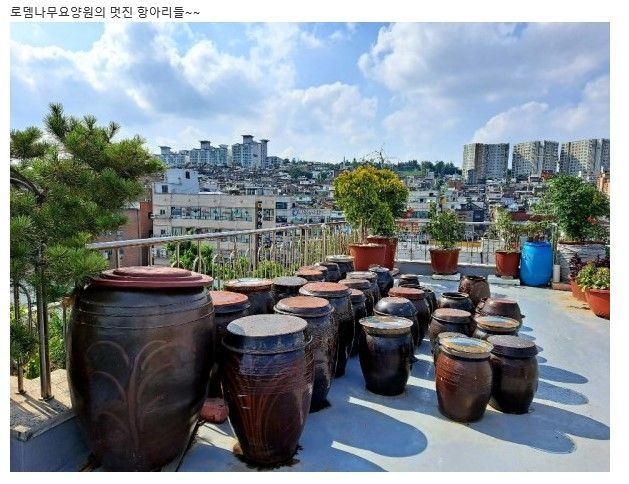 로뎀나무 요양원 2020-11-05