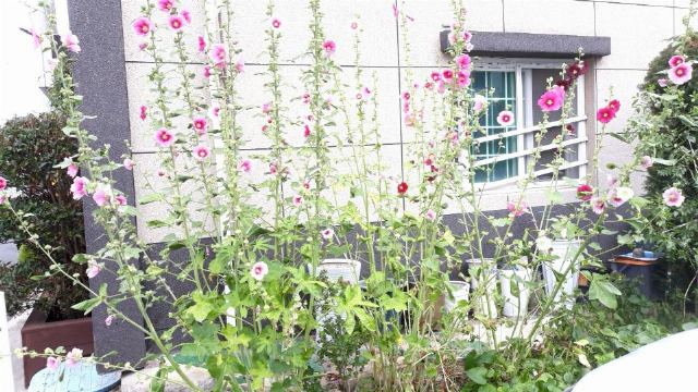 사랑노인요양공동생활가정 2021-06-24