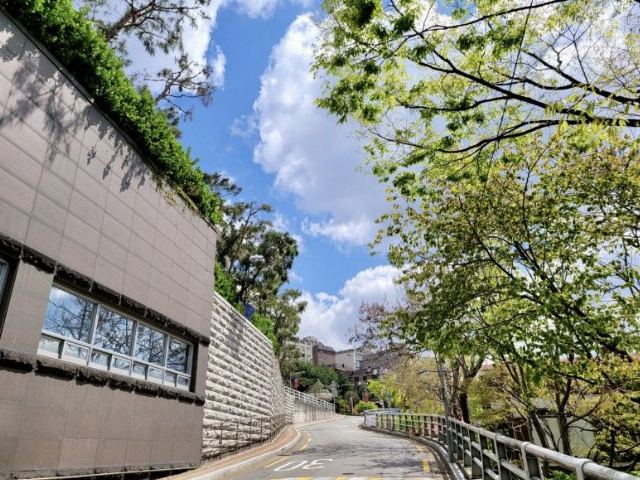 정진요양원 2022-04-19