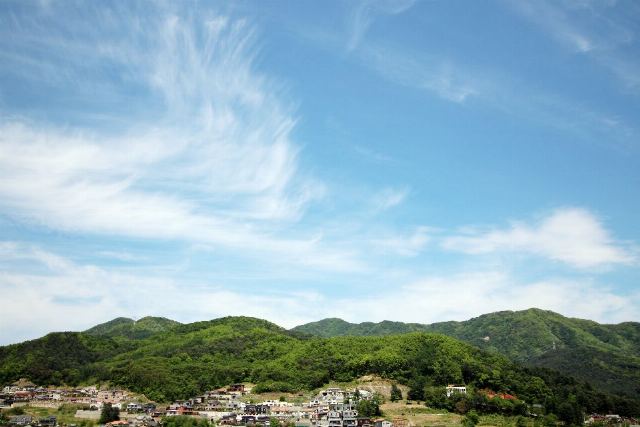 운수사랑요양원 2022-06-22