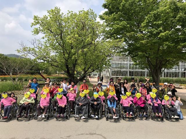 정겨운 뜰안 2018-05-01