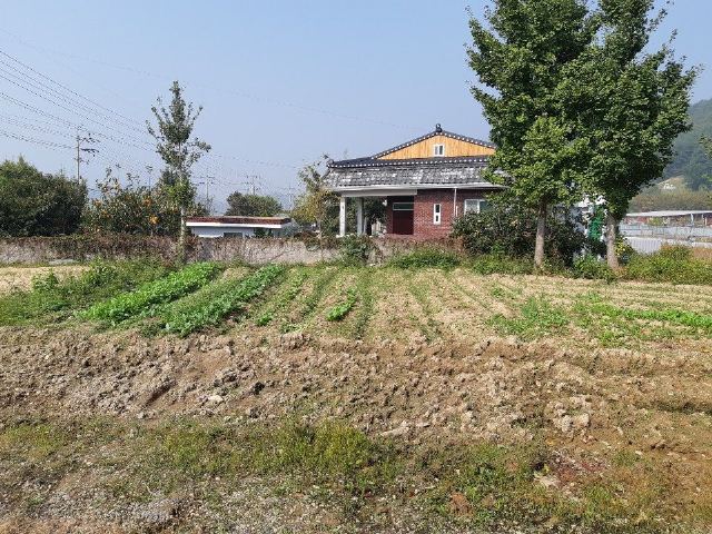 송운노인주간보호재가센터 센터내에 텃밭