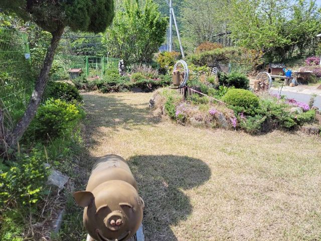 손안애 복 요양원 2022-04-25