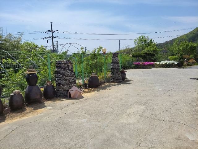 손안애 복 요양원 2022-04-25