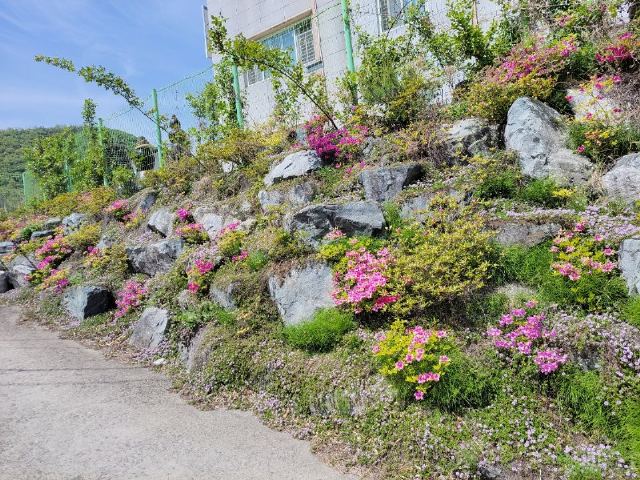 손안애 복 요양원 손안애복요양원 산책로