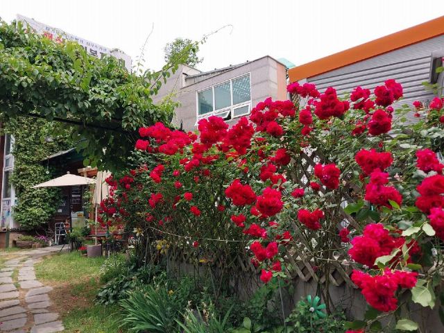 e-햇살복지센터1 2023-05-26