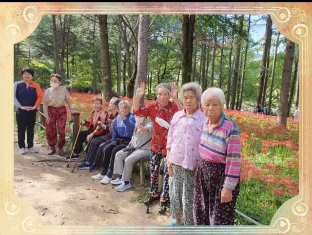 해피맘실버 재가센터 직지사 꽃무릇 나들이