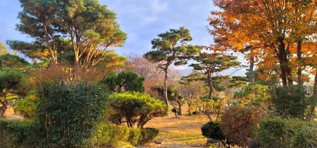 작은 숲 요양원 요양원 정원