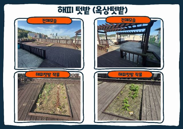 해피실버타운 2012-05-29
