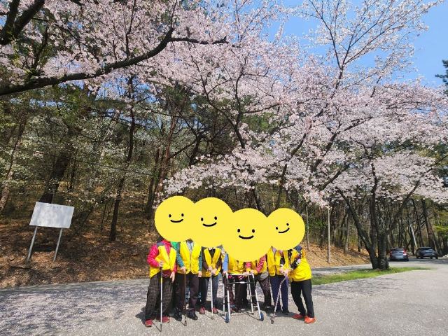 행복나눔노인복지센터 벚꽃구경