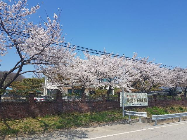 따스한 주야간 보호센터 2022-05-25