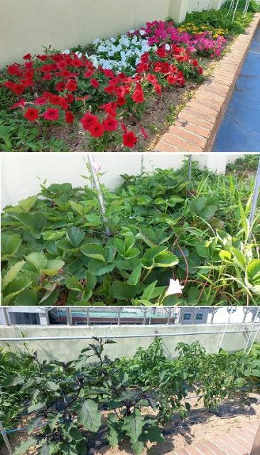 연수인하요양원 2024-08-05