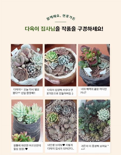 연꽃노인요양원 원예활동-다육이