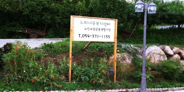 느티나무복지센터 2017-08-11