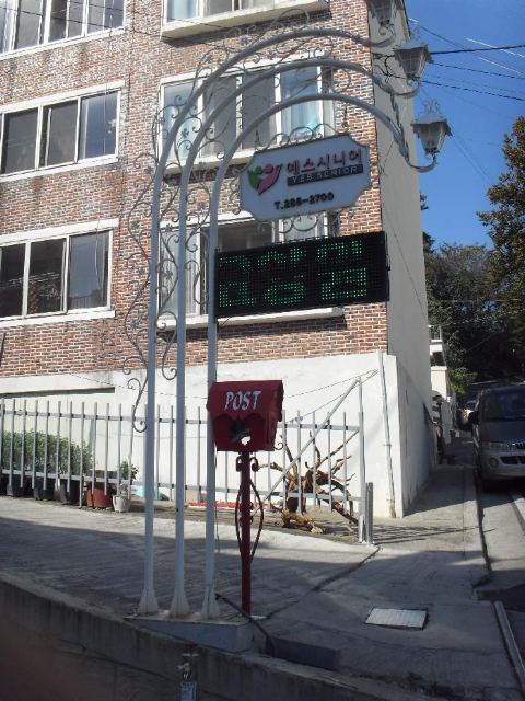 예스시니어 2009-12-31