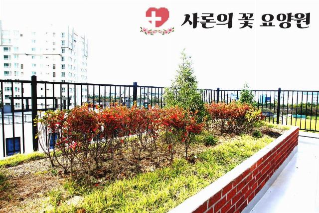 샤론의꽃요양원 2023-10-18