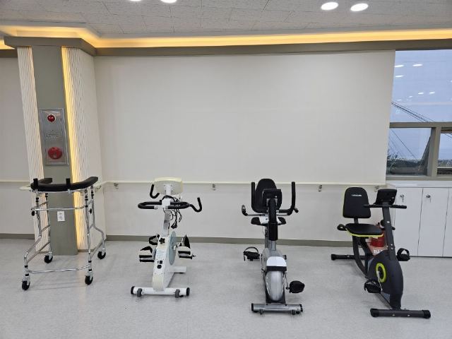 봄날 데이케어센터 2024-11-23