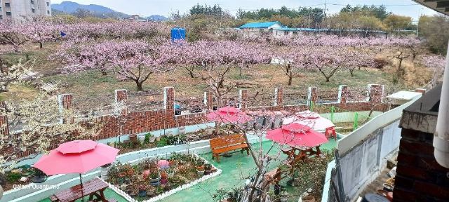 경산실버요양의집공동생활가정 요양원 정원의 봄풍경