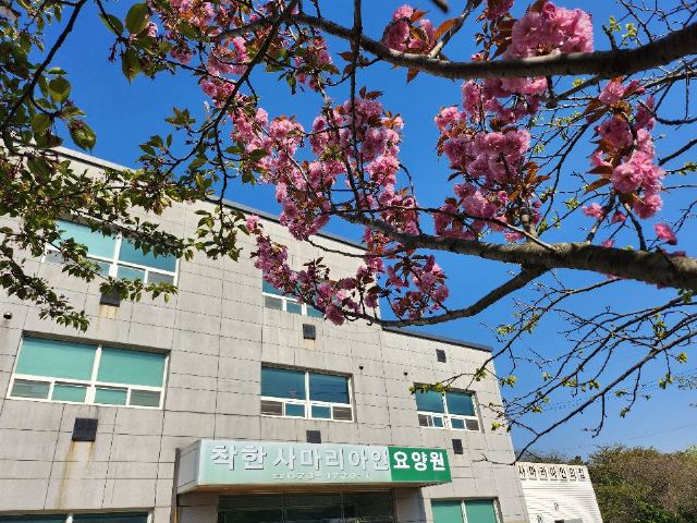착한사마리아인요양원 2025-05-05