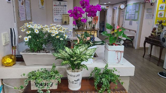 늘봄실버밸리 2025-05-09