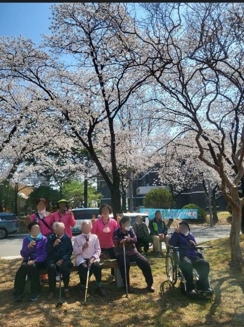 영천애실버타운 2025-05-13