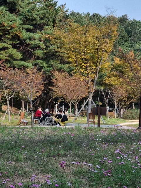 백세주간보호센터(두호직영점) 2022-11-29