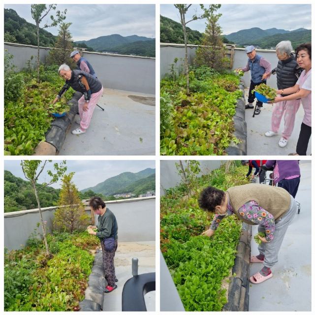 올리브실버케어 2025-06-18