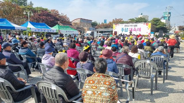 느티나무 2025-11-25