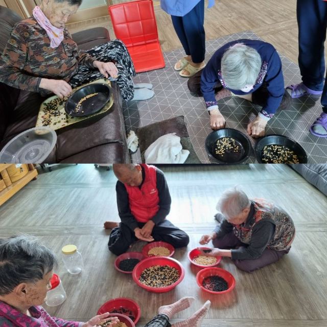 쉴만한물가 콩고르기