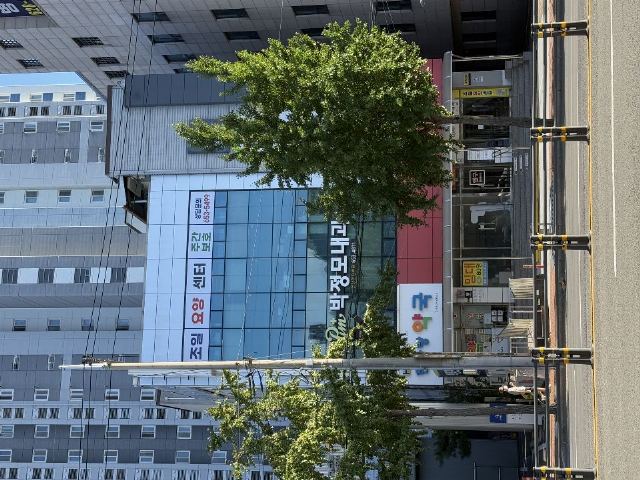 조일주간보호센터 2025-12-08
