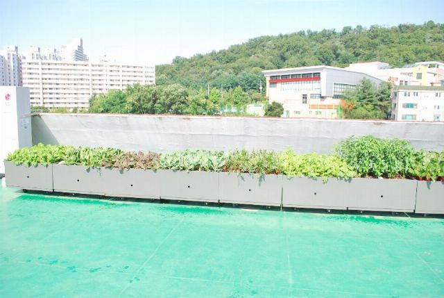 보은데이케어센터 2022-04-26