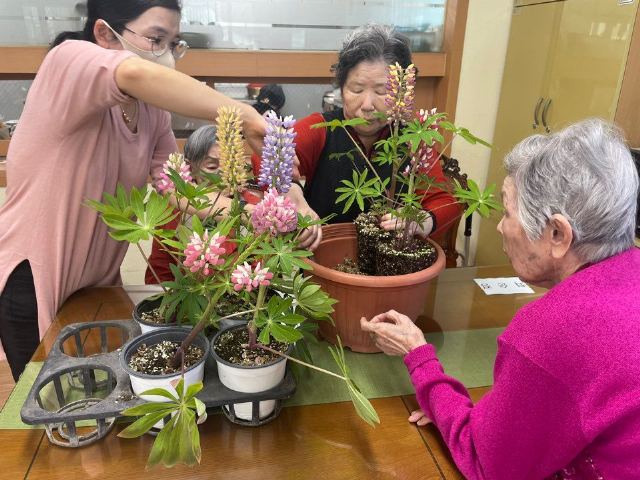 노엘실버타운 원예치료