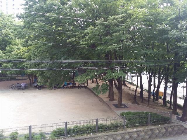노원바른데이케어 2017-08-06