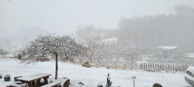 추부요양원 2022-02-16
