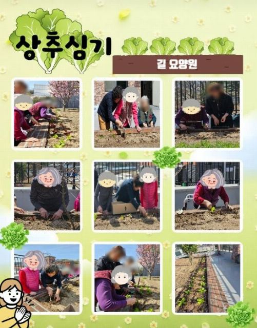 길요양원 상추심기