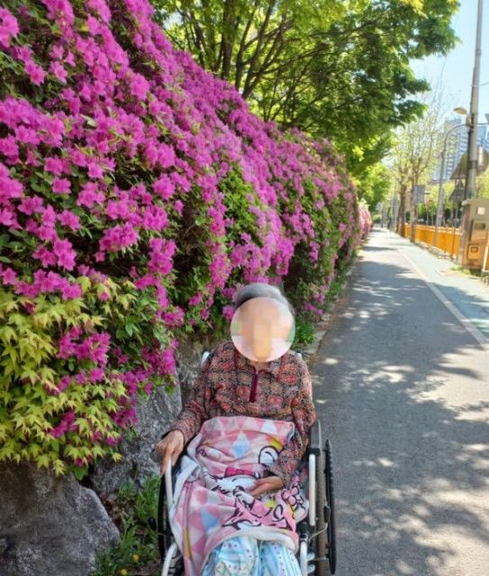 구리숲요양원 2026-04-24
