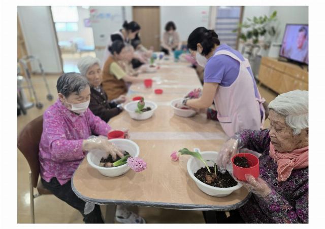 노인요양원 솔향 2026-04-29