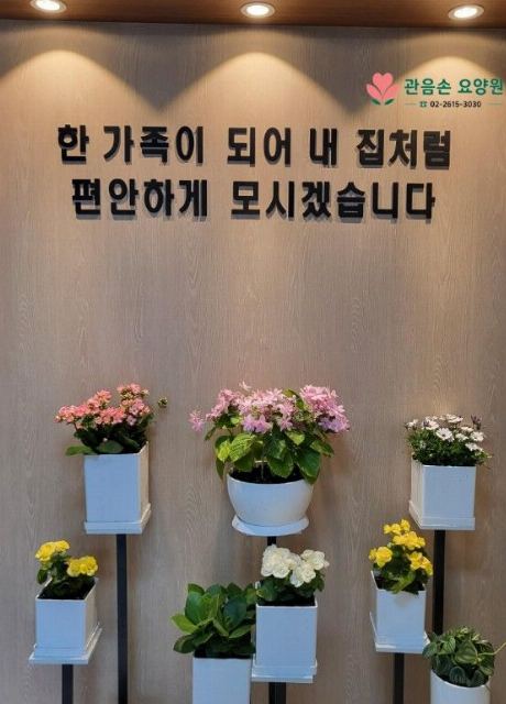 관음손 요양원 2026-05-04